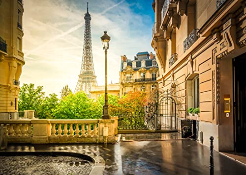 BELECO 7x5ft Fabric Paris Eiffel Tower Backdrop Summer Street View European Famous Building French City Landscape Background Paris Theme Party Decor Wedding Photography Wallpaper Photo Studio Prop