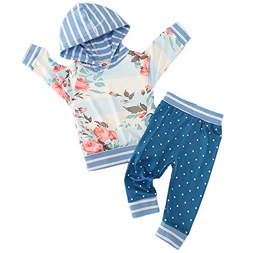 Baby Girl Clothes Floral Sweatshirt Stripe Hoodie Tops and Polka Dot Pants Outfits Set 18-24 Months