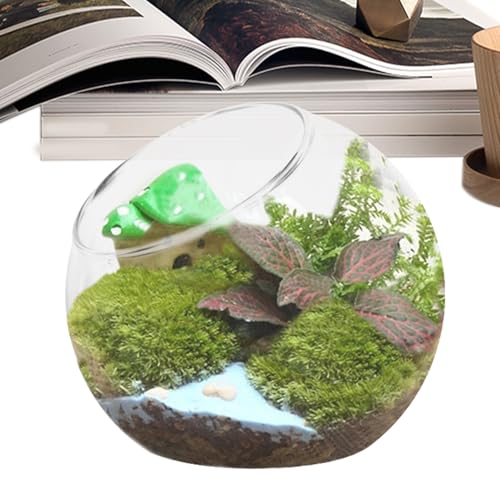 pour poisson rond dans le terrarium - Élégant vase centre de table pour la maison, pot d'aquarium sans effort, petits poissons pour aériennes | Récipient...
