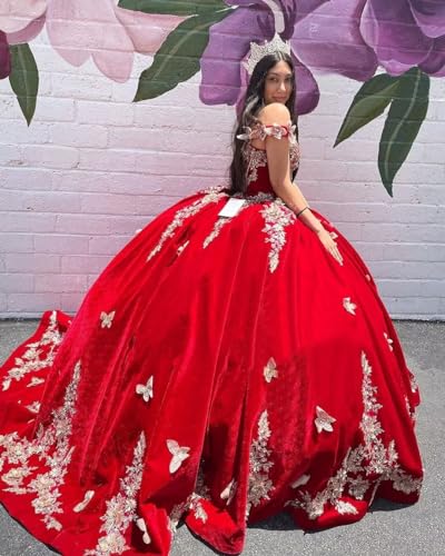 Ftupza Velvet Quinceanera Dresses with Gold Embroidery Applique Off Shoudler Butterfly Ball Gown for Sweet 15 16 Dresses3