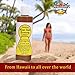 Maui Babe Browning Lotion 8 Ounces