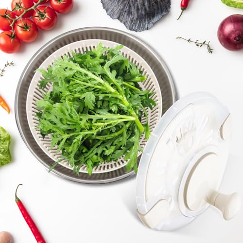Rainbean SALATSCHLEUDER Salad Spinner Stainless Steel Large thumb #8