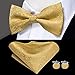 Dubulle Mens Gold Paisley Striped Bowtie Set Pre-tied Bowtie for Men and Pocket Square Set Wedding Business