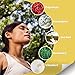 Nasol Nasal Sinus Spray 1oz/30 ml - Relief from Sinus Pressure, Headaches, Nasal and Sinus Congestion; Relief Begins Almost Instantly!