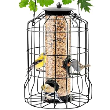 caged bird feeders for small birds