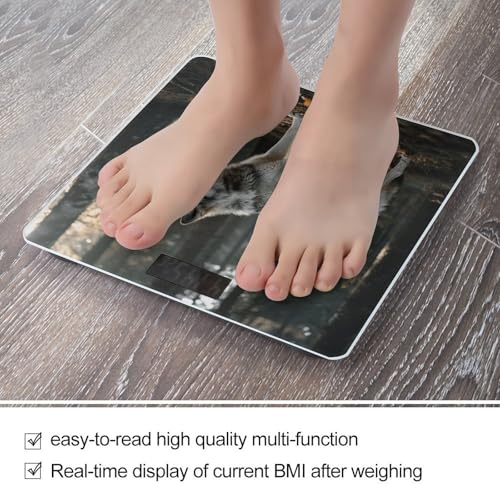 Báscula Digital de Baño Wolf con Pantalla LCD y Vidrio Templado miniatura 5