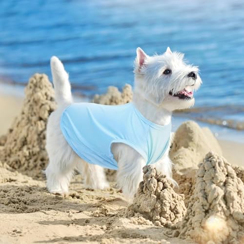 Hunde Shirt Sommer, Kühlwesten für Hunde, Hund UV Schutz T-Shirt, Hundekostüm, Hundehemd Tshirt, Haustier Tshirt für Kleine Mittelgroße Hund Katzen, Haustier Kleidung für Chihuahua, Yorkie (Blau,S)