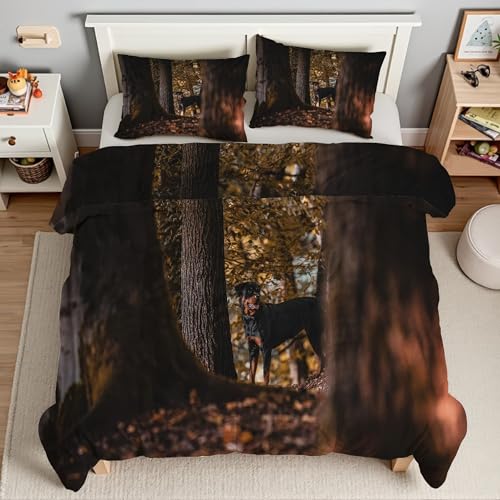 RxHѕzc 3DX|zc h \tg ~ Lg I[V[Yq\tgӂӂ}CNt@Co[EHbu |zcg ӂӂ gHѕzcy ʋC Hzc210x210cm + 2Jo[E43X63cmTI3989