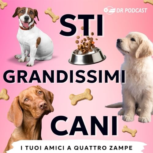 Couverture de Ep. 6 | Il cane che si morde la coda