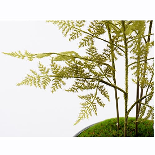 Plante intérieure en pot en céramique simulation bonsaï de salon - 4