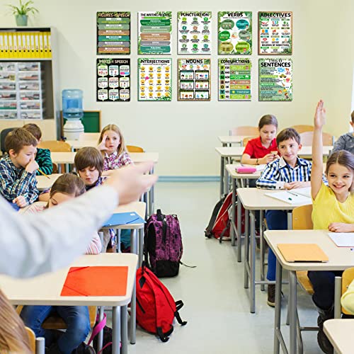 Affiches éducatives eucalyptus pour éliminer les fautes de grammaire