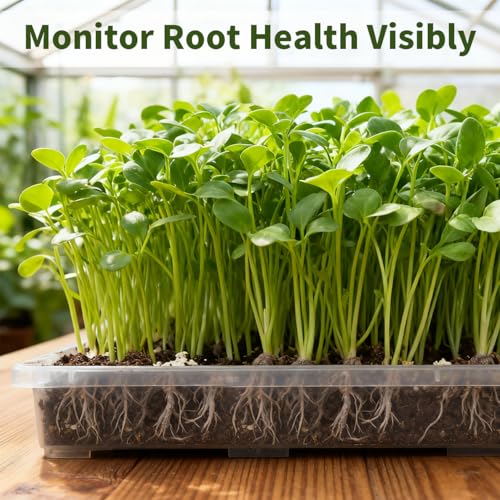 RooTrimmer Clear Seed Starter Trays 5 Pack(17"x11"x2"), Reusable Plastic Carrying Seedling & Nursery Trays, Durable Flat Pots Trays, Transparent Square Tray for Planting and Collecting Drainage Water - Image 3