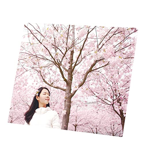 Tableau sakura cerisier en fleur pour salon japonais cocooning 71x60