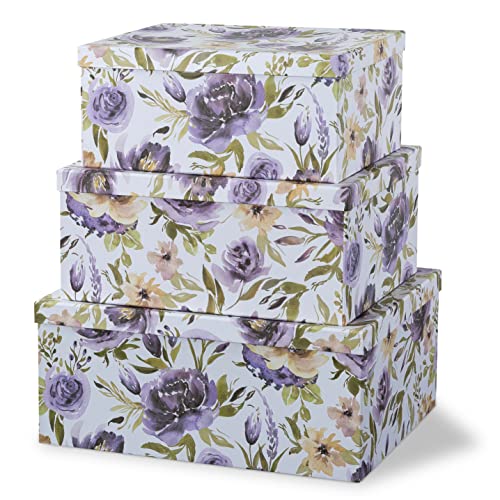 Decorative Storage Boxes by Soul & Lane