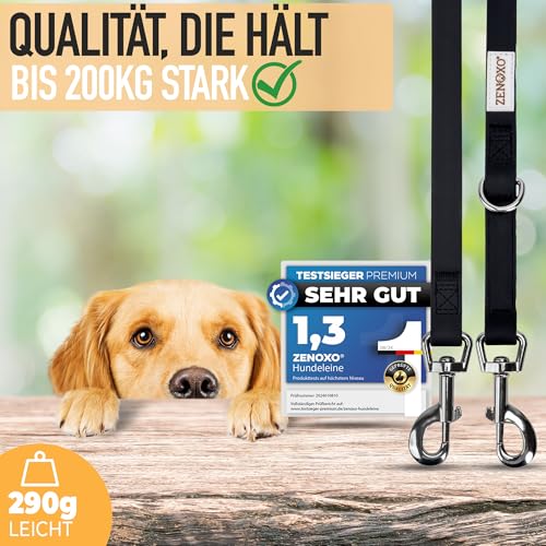 ZENOXO® [3m] Hundeleine | Schmutz- & wasserfest - Für mittlere & große Hunde - 4-Fach verstellbare Laufleine & Umhängeleine