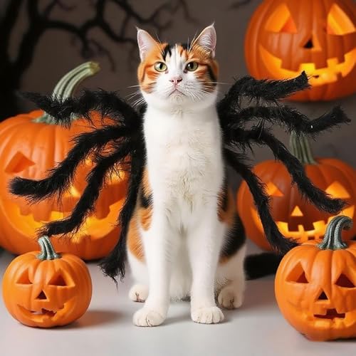 Halloween Kostüm Hund Groß, Verstellbar Halloween Hundekostüm, Schwarz Plüsch Spinnen-Kostüme Filz Pet Spinnenkostüm Lustige Katzenkostüm Cosplay Party Special Events für Hunde und Katzen (M)