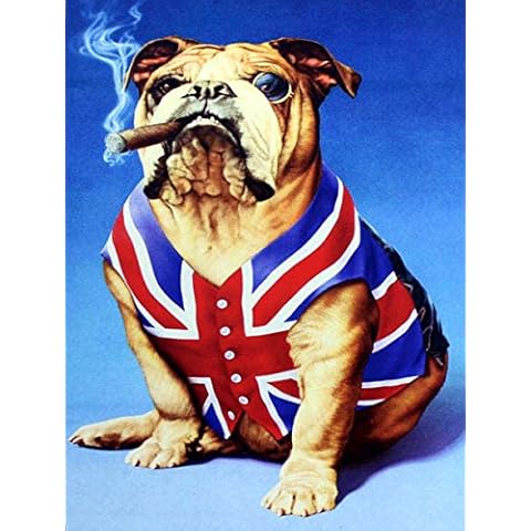 SHAWPRINT bulldog union jack british, Retro metal Aluminium Sign vintage bar pub man cave (150MM X 200MM (6" X 8")) Cover