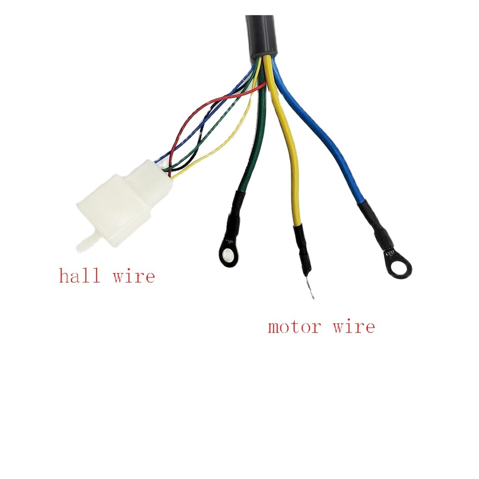 48V 60V 2000W Elektryczny Skuter Bezszczotkowy Silnik Prądu Stałego Do Skutera Elektrycznego Trójkołowego Motocykla Szybka Wydajność(60V 2000W)