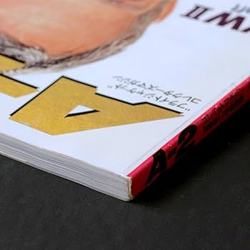 A-2 フライトジャケット コレクターズマガジン Amazon | A-2 フライトジャケット コレクターズマガジン