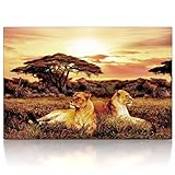 Made in Germany CanvasArts Afrika Löwen - Leinwand Bild auf Keilrahmen - Wandbild 02.501 (60 x 40 cm, einteilig)