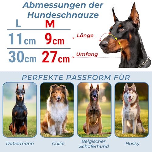 CleverTail Metall-Maulkorb für Dobermänner – Körbchen-Maulkorb gegen Bellen und Beißen – Stahl-Draht-Maulkorb für mittelgroße und große Hunde wie Dobermann, Collie, Malinois, Husky
