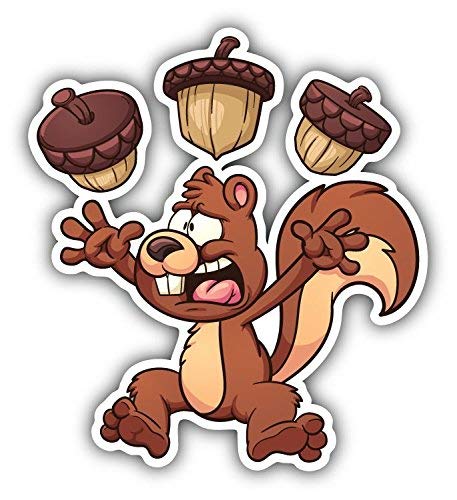 DG Graphics Scared Cartoon Squirrel Animal Art Decor 5'' x 5'' Vinyl Decal Sticker Wall Window Any Smooth Surface
