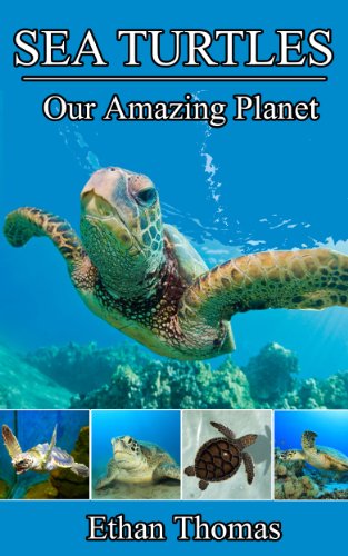 Sea Turtles! Sea Turtle Book for Kids - Fun Facts and Sensational Full Color Pictures