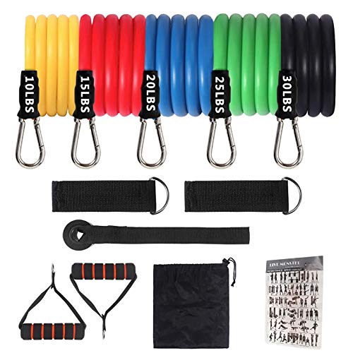 Liford Sport 11 Pack Exercise Resistance Bands with Handles Set,Workout Equipment for Women Men Home Gym, Home Workouts,Physical Therapy,Gym Training,Yoga