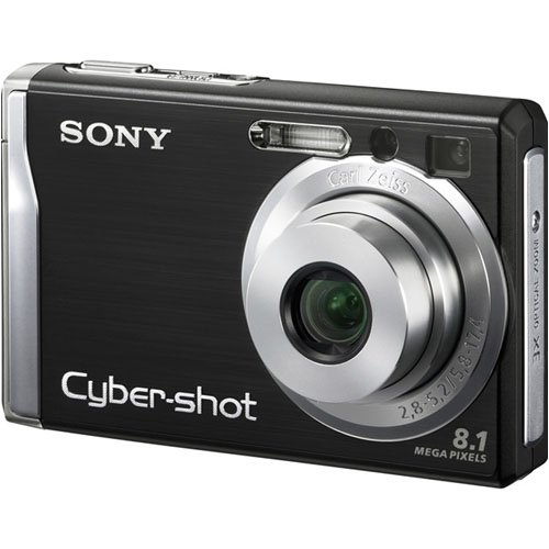Amazon.com : Sony Cybershot DSCW90 8.1MP Digital Camera with 3x
