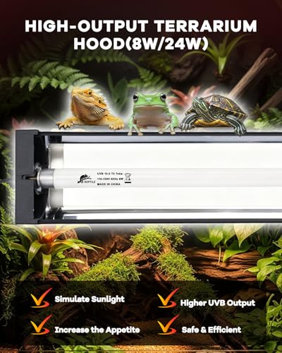 Image of UVB Light for Reptile 8W, T5 UVB Reptile Light Fixture HO Combo Kit with Test Sensor Cards, 12 inch High Output Reptiles Light Bar UVA UVB Desert Lamp for Turtle Lizard Bearded Dragon Tank