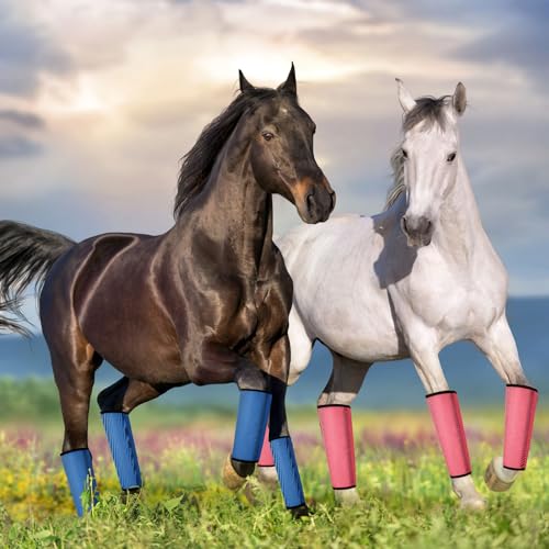 Image of Jexine 12 Fly Boots for Horse Set of 12 Loose Breathable Mesh Horse Fly Sheets Protective Horse Leg Wraps Leggings for Preventing Flies and Mosquitoes Bites (Blue, Green,Red)