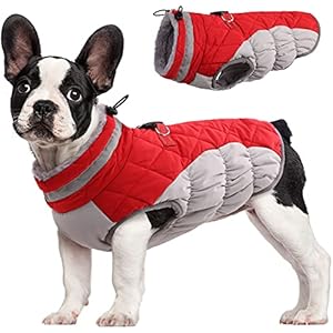 FUAMEY Dog Coat for Medium Dogs,Waterproof Dog Winter Jacket with Harness Built in Puppy Cold Weather Coats Reflective Pet Vest with Zipper Warm Fleece Dogs Snowsuit Windproof Red M M(chest: