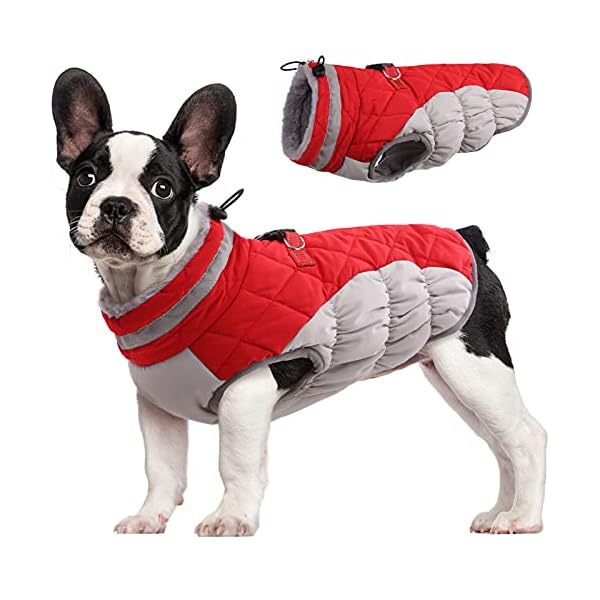 FUAMEY Dog Coat for Small Dogs,Wate...