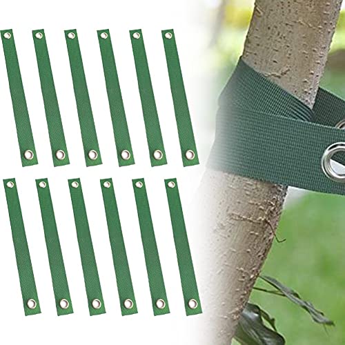 12 pièces de sangles de tuteurage pour arbres de jardin, sangles de tuteurage pour arbres en tissu robuste, sangles de support pour arbres pour plantes de grande taille, tuteurage, guyage