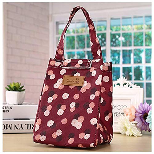 LAAT Bolsa Termica Comida Trabajo Porta Alimentos Isotermica Correa de Hombro para Infantil Escolares Trabajo Picnic