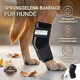Nature Pet SPRUNGGELENK BANDAGE HUND HINTERBEIN – Sprunggelenk Bandage mit Leckschutz Hund – verstellbare Tarsal-Stulpen für Hunde zur Stabilisierung & Schutz des Hinterbeins – 135° Winkel – XS 2