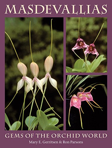 Masdevallias: Gems Of The Orchid World