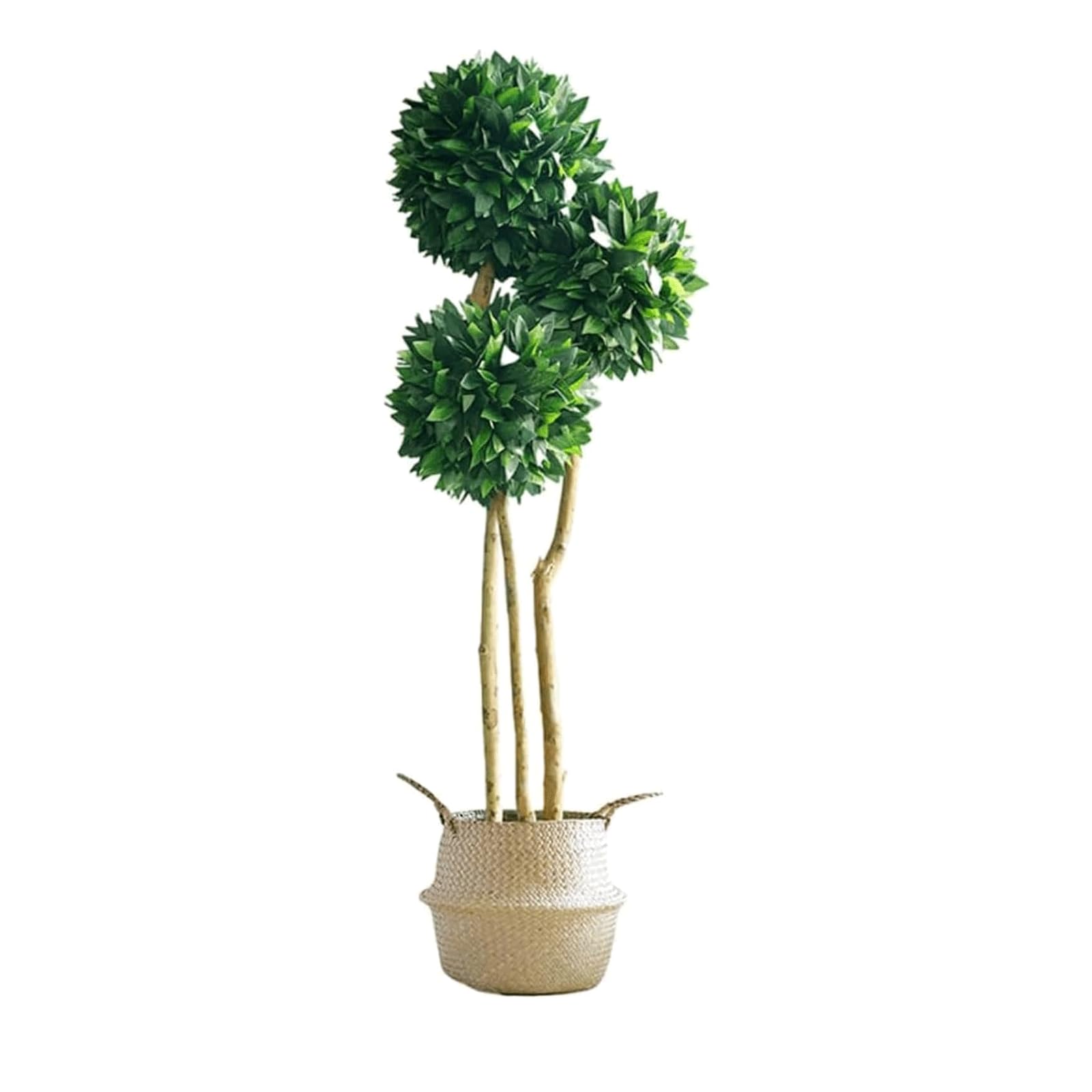 HCZKIUJY Potted Artificial Plant 140cm/4.5 Ft Fake Tree Beautiful Faux Plant with Woven Seaweed Belly Basket Eco-friendly Laurel Tree
