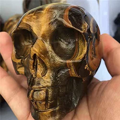 RaeGan 1pc Gemstone Skulls Hand Carved Tiger Eye Skulls for Home Decoration 250-330g