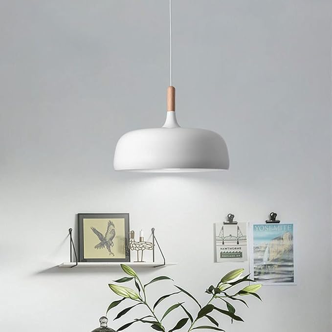 SHUANGZ Moderne Elegante Kroonluchters Hanglamp Met Enkele Koplamp Semi-ingebedde Installatie Opknoping Plafondlamp Lamp Armatuur, Voor Restaurant Bar Koffie Eetkamer photo 3