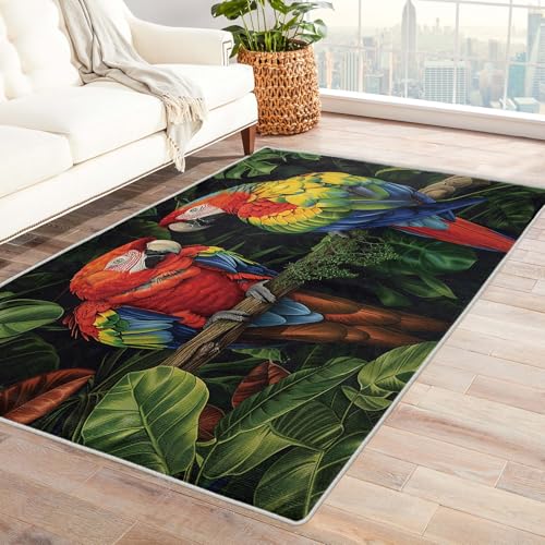 Tapete decorativo rectangular Zydzarrx 2x3 ft rojo verde