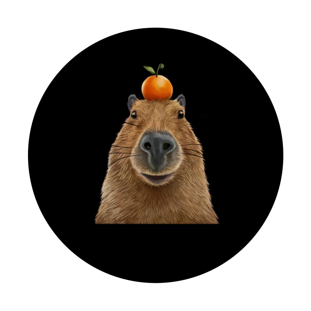capybaraです。 Amazon.com: Capybara With Orange on Head Funny Capybara PopSockets