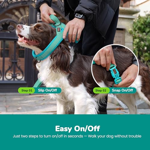 Image of Didog No Pull Dog Harness for Small Dogs, Breathable Mesh Padded, Green, S