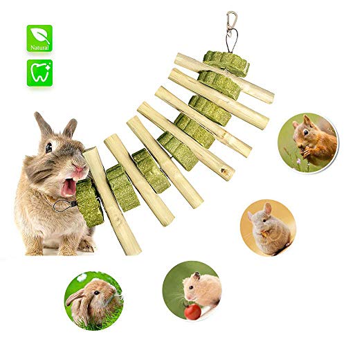 23 Best Rabbit Chew Toys in 2020 (Review and Guides)