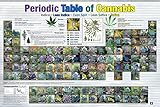 buyartforless Periodic Table of Cannabis (Weed Marijuana Table) 36x24 Art Print Poster Educational Novelty Drug Smoking, Multicolor (AQ 241349)