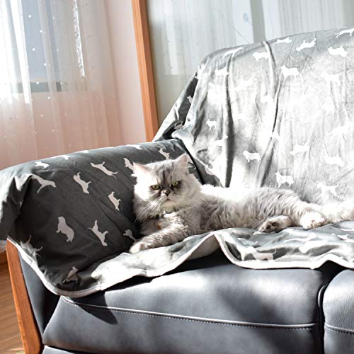 LUCKITTY Double Thickening Small Dog Blanket,Super Soft Warm Sherpa Fleece Plush Washable Cat Pet Throws for Couch, Car… - Image 7