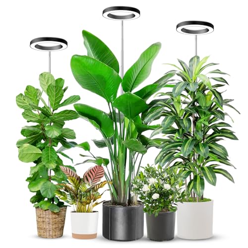 Image of Aokrean 6.3in Grow Light, 80LED Growing Light Full Spectrum for Indoor Plants, Auto Timer 6 /12 /16H, 3 Optional Spectrums, Height Adjustable 10 inch-65 inch, Idea for Large Plant, 5V, Black, 3 Pack