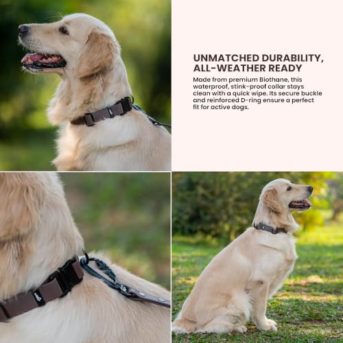 Image of Adil's Biothane Waterproof Dog Collar, Dog Leash & Collar Leash Combo | Heavy Duty TPU Coated Webbing | Adjustable Quick Release Buckle | Odour Resistant (Brown, L-22, Collar only)