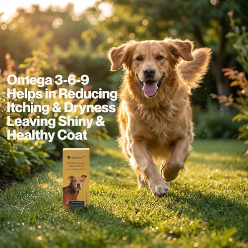 Image of Natural Hemp Seed Oil for Dogs & Cats 125 Ml | Pets Joints and Bone Support Stress Calming Massage Oil | Rich in Omega-3-6 Dog Supplement | Cold Pressed Hemp Oil for Dogs Pain Anxiety Relief