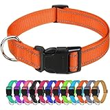 1 Stück Verstellbare Hundehalsband Nylon Material Reine Farbe Hunde Halsband L(40-60CM) Orange